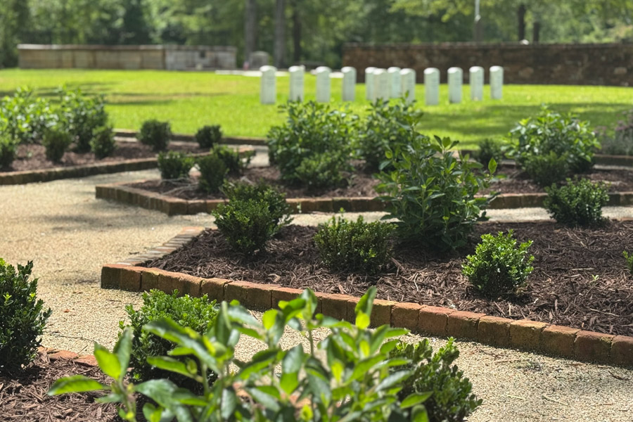 garden-featured